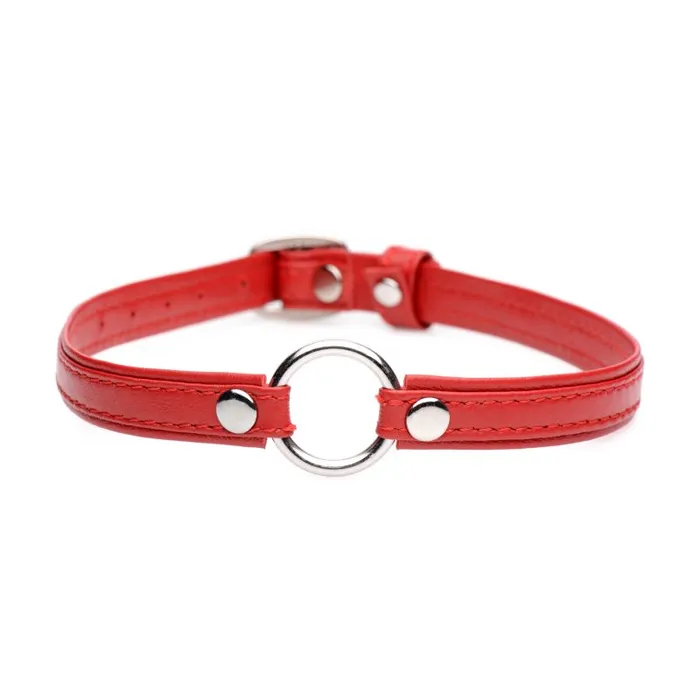 Restraints Fiery Pet Leather Choker w Silver Ring Red Master Series